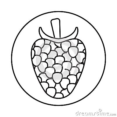 Rounded the raspberry fruit line art icon for apps and websites Vector Illustration