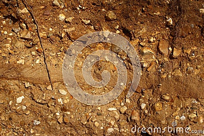 Rounded stones in moraine sand and gravel deposits Stock Photo