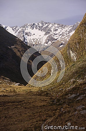 Routeburn Track Stock Photo