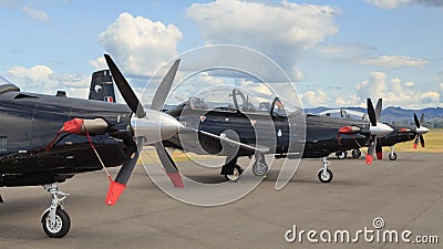 Row of Beechcraft T-6 II Texan trainer planes flown by the New Zealand `Black Falcons` Editorial Stock Photo