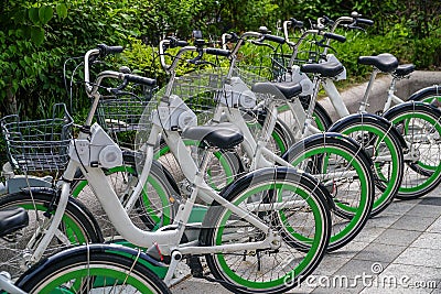 A Row of Bicycles Parked on the Street. Bicycle-friendly City Stock Photo