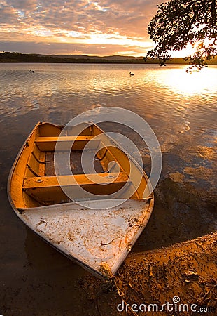 Row-boat and pelicans Stock Photo