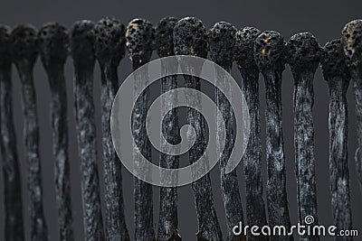 Row of burnt matches on a dark background Stock Photo