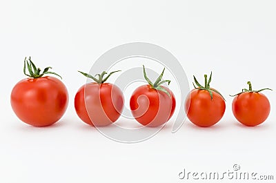 Tomatoes Stock Photo