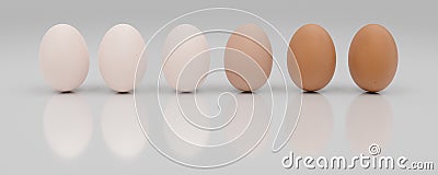 Row of a dozen eggs sorted from light to dark Cartoon Illustration