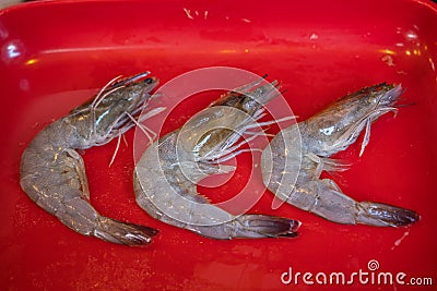 row Fresh Shrimp in red plate background for cook Stock Photo