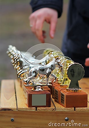 Row of golden trophy cups for dog competition. Russian lettering saying `to the smartest` and `to the most fearless` Stock Photo