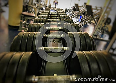 A row of heavy dumbbells at the gym Stock Photo