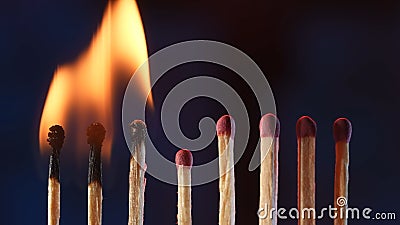 A row of matches where two burning matches pass their fire to the next. Cascade of flame, transfer of energy. Macro shot Stock Photo