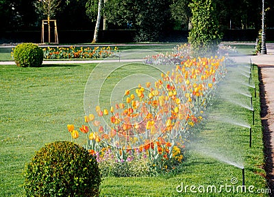 Row of modern sprinkler irrigation system working in the morning Stock Photo