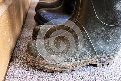 Row of muddy dirty rubber boots in front of a wooden wall Stock Photo