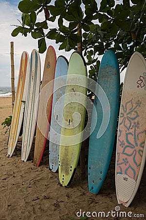 A row of multi-coloured surf long boards lined up for hire on a beach at Puerto Viejo de Talamanca in Costa Rica Editorial Stock Photo