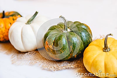 A row of multicolored small pumpkins on burlap on a white wooden background. The focus is one yellow green pumpkin Stock Photo