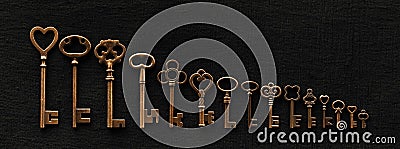 Row of ornate skeleton keys. Concept of finding multiple options for unlocking opportunities, finding solutions, or achieving Stock Photo