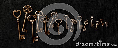 Row of ornate skeleton keys. Concept for finding multiple options for unlocking opportunities, finding solutions, or achieving Stock Photo