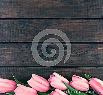 Row of pink tulips on dark rustic wooden background. Spring flow Stock Photo