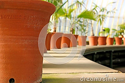 Row of plant pots Stock Photo