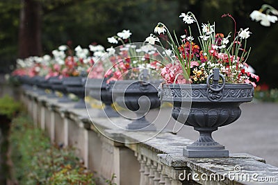 Row of potted colorful flowers on a bridge Stock Photo