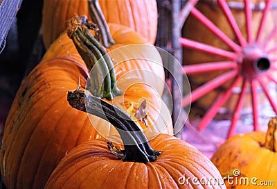 Row of Pumpkins with Wagon Wheel Stock Photo