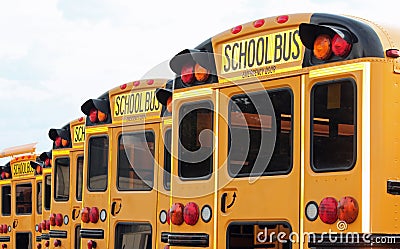 Row of School Buses Stock Photo