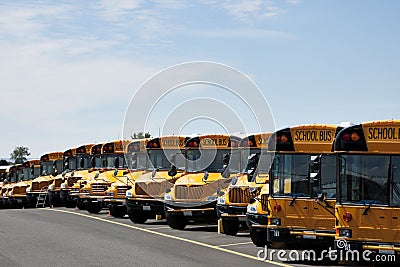 Row of School Busses Stock Photo