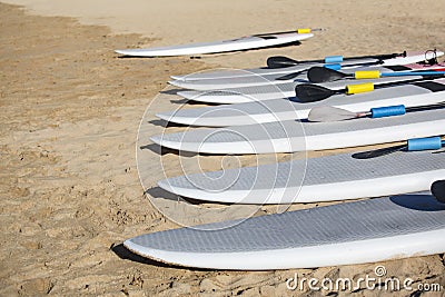 Row of stand up paddle boards resting on the beach ready to rent Stock Photo