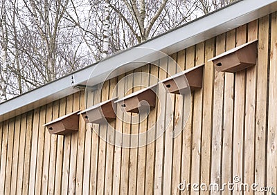 Row of swift nesting boxes fixed to the side of a large wooden shed. Stock Photo