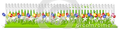 Row Tulips White Picket Fence Stock Photo