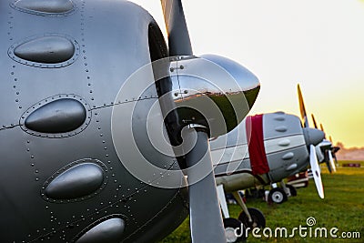 Row of vintage propeller airplanes Stock Photo