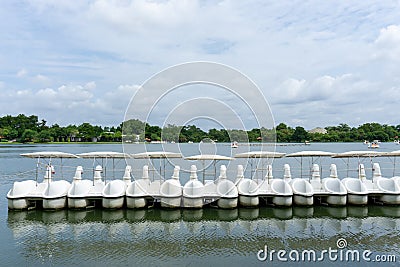 Row of white swan spinning pedal boats on water in a lake of public park, greenery trees, shrub and bush, green grass lawn on Stock Photo