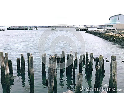 A row of wooden poles by the Portland waterfront Stock Photo