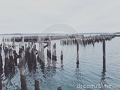 A row of wooden poles by the Portland waterfront Stock Photo
