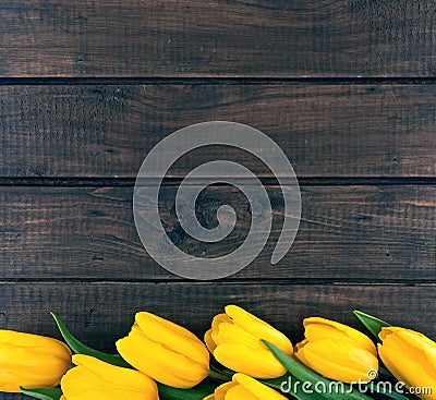 Row of yellow tulips on dark rustic wooden background. Spring fl Stock Photo