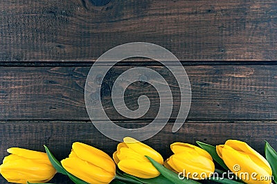 Row of yellow tulips on dark rustic wooden background. Stock Photo