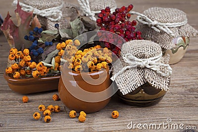 Rowan berries in the clay pots Stock Photo