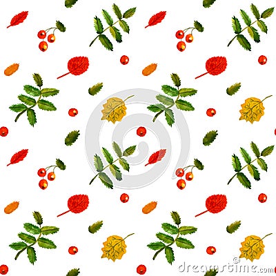 Rowan berry and birch leaves watercolor vintage ha Vector Illustration