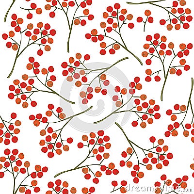 Rowan berry on white Vector Illustration