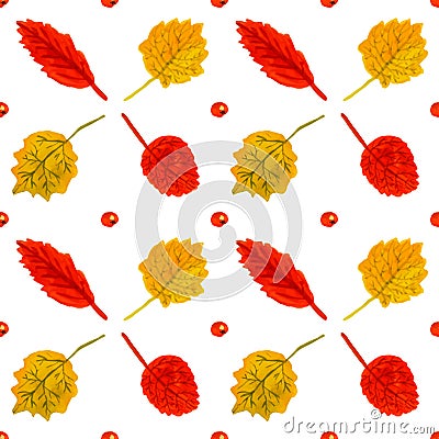 Rowan and birch leaves watercolor vintage hand dra Vector Illustration