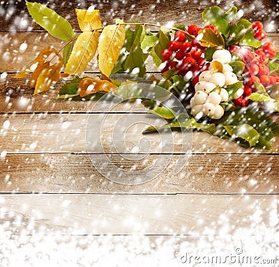 Rowan branch with berries on the snow-covered background Stock Photo