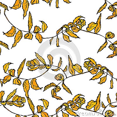 Rowan floral seamless pattern Orange Leaves contours isolated on white background hand-drawn. Vector Vector Illustration