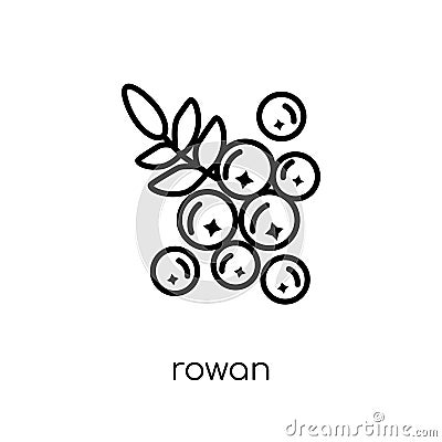 Rowan icon. Trendy modern flat linear vector Rowan icon on white Vector Illustration