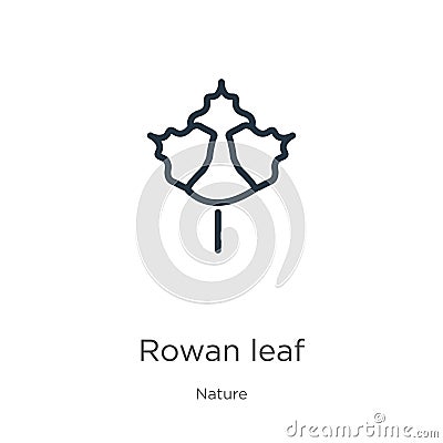 Rowan leaf icon. Thin linear rowan leaf outline icon isolated on white background from nature collection. Line vector sign, symbol Vector Illustration