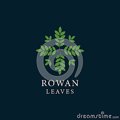 Rowan leaves rounded vintage logo Vector Illustration