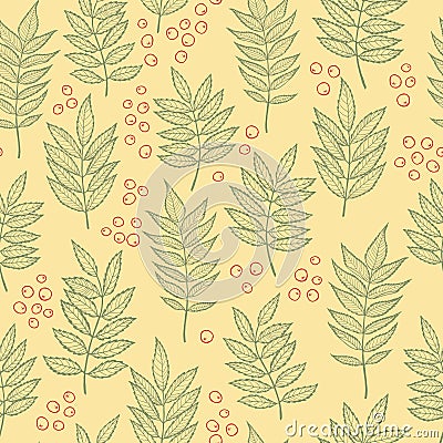 Rowan leaves. Vector seamless pattern. Hand drawn Stock Photo