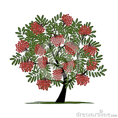 Rowan tree with berries for your design Vector Illustration