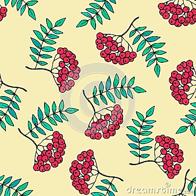 Rowan vector seamless pattern. Vector Illustration