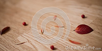 Rowan on wooden background Frame made of autumn dried leaves Stock Photo