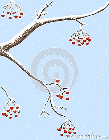 Rowanberries under snow Vector Illustration