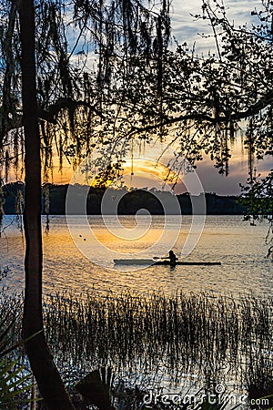 Rower paddling down pond in Payne`s Prairie in Florida Stock Photo