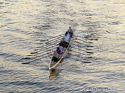 Rowers training on the river Editorial Stock Photo